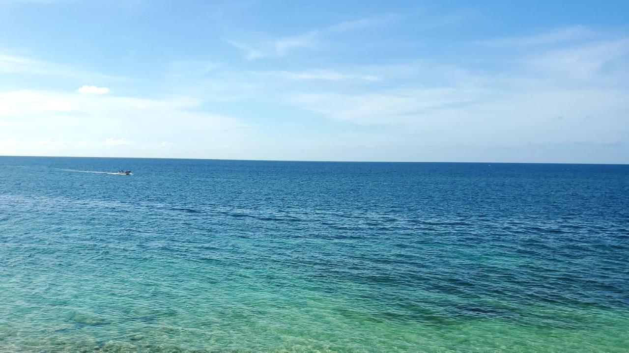 Evelin'S On The Beach مونتيغو باي المظهر الخارجي الصورة